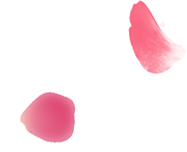 img-slider3-0211.png